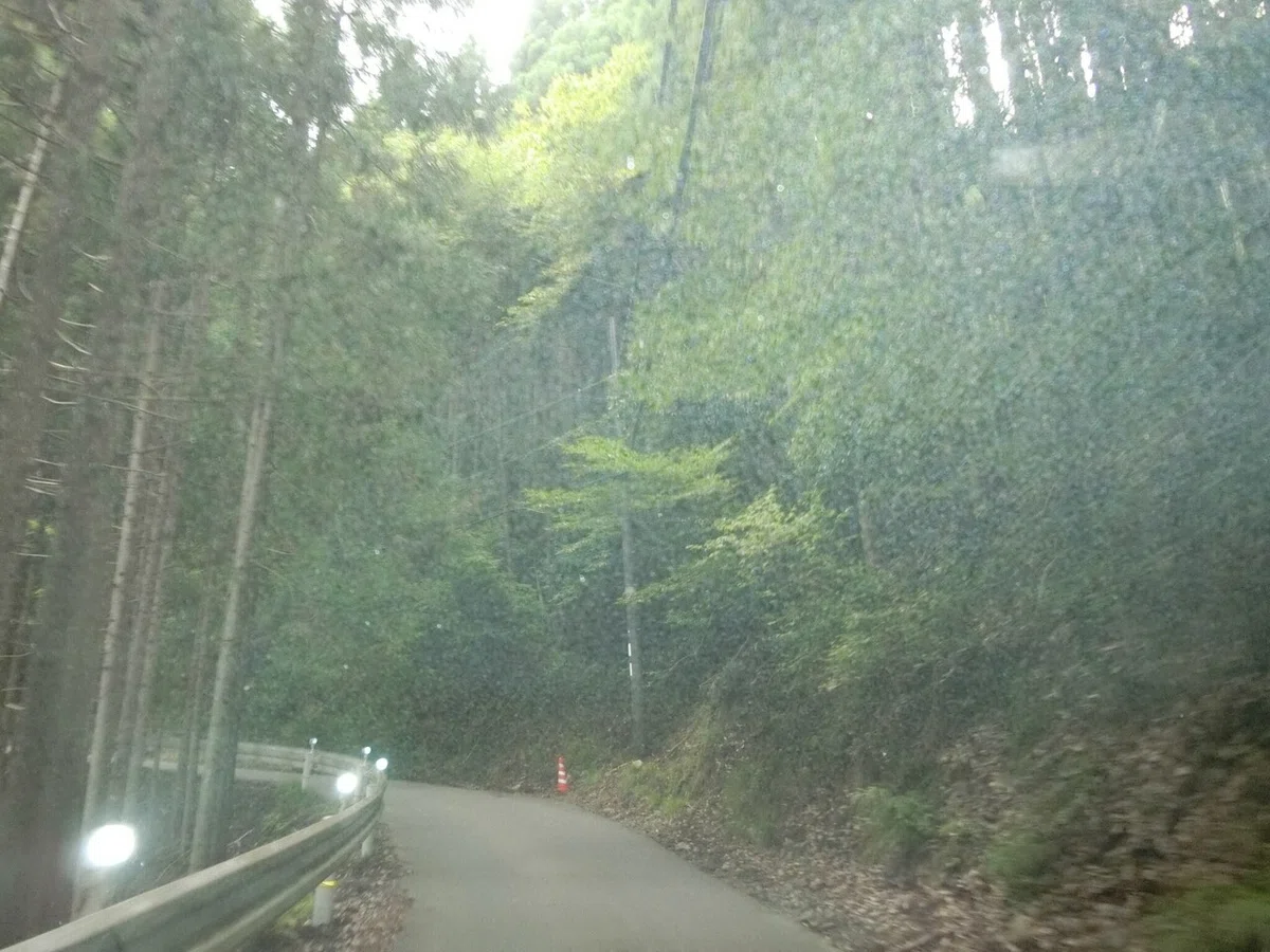 画像4