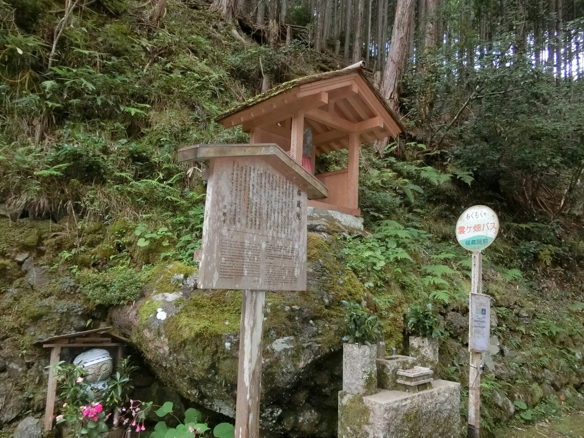 画像12