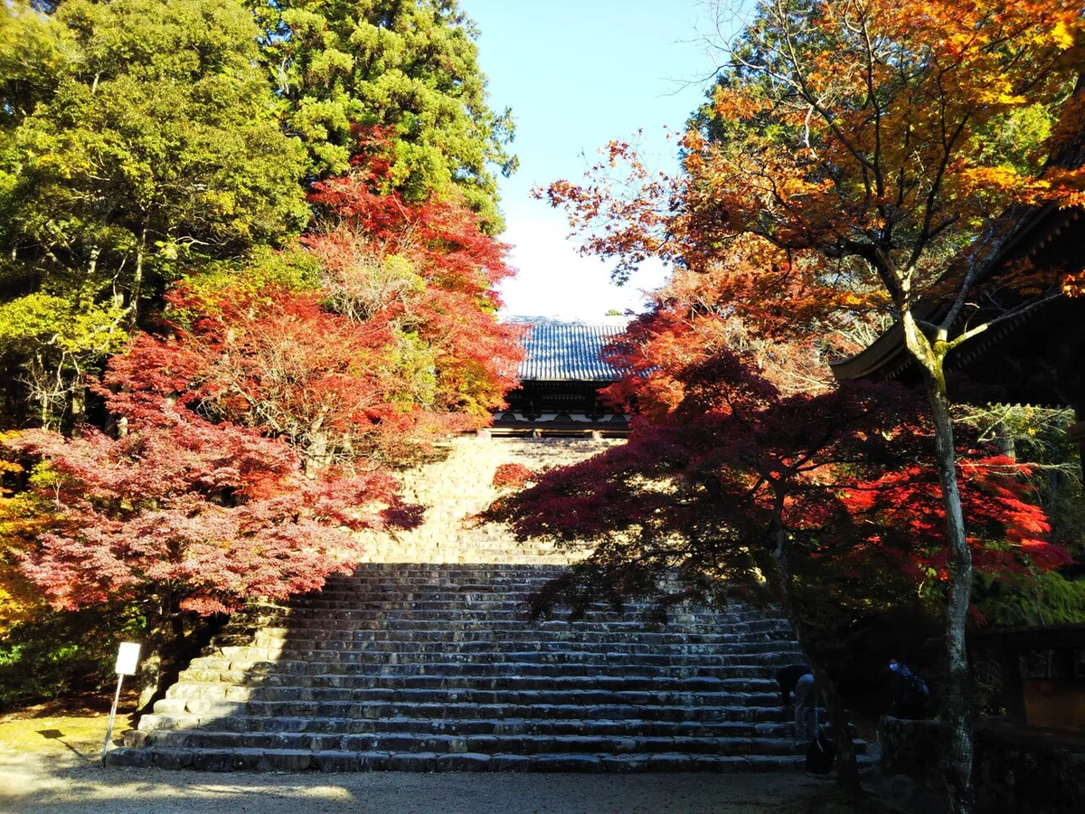 画像160