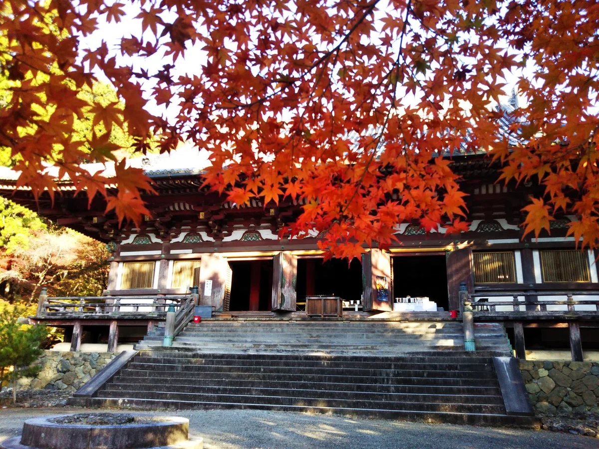 画像160