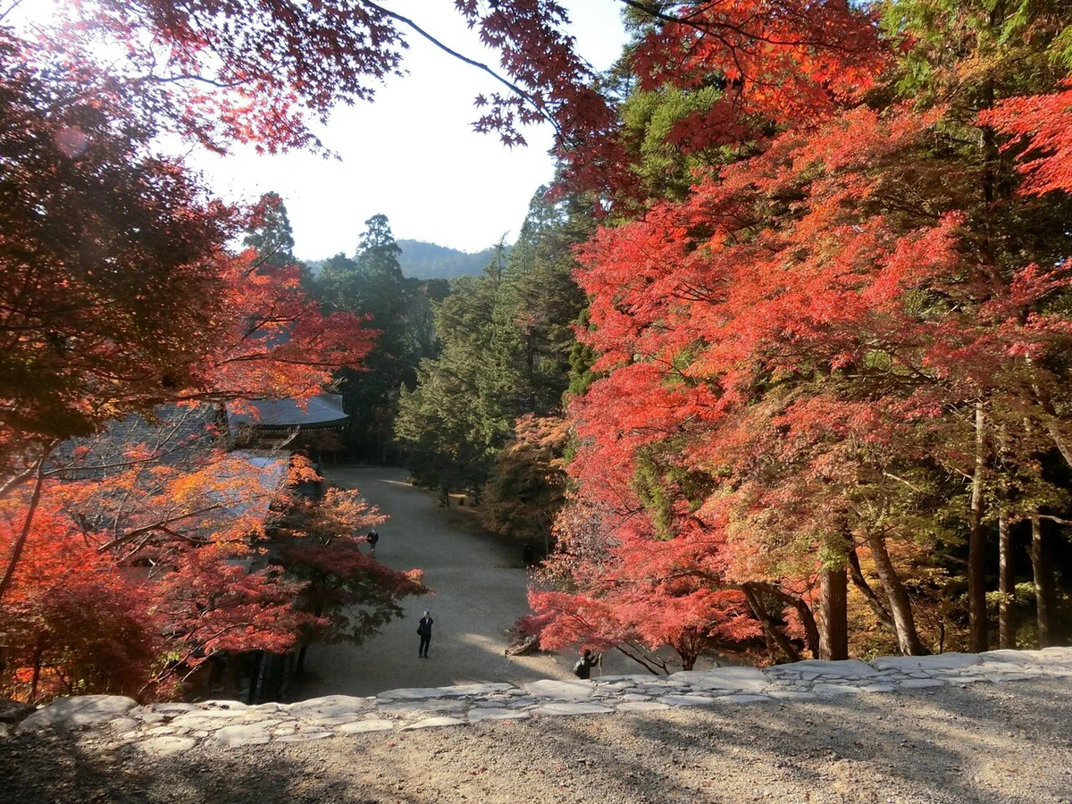画像162