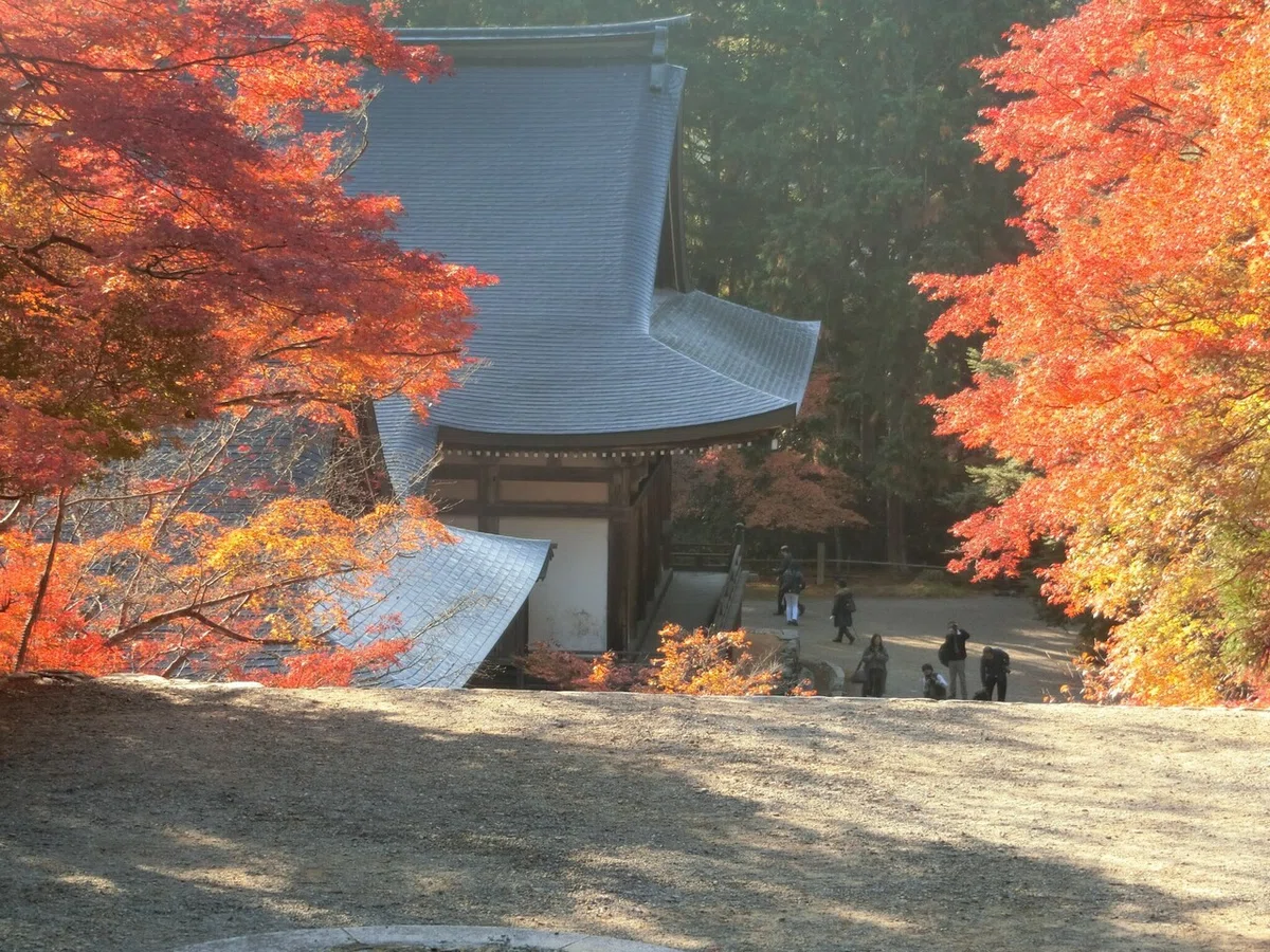 画像163