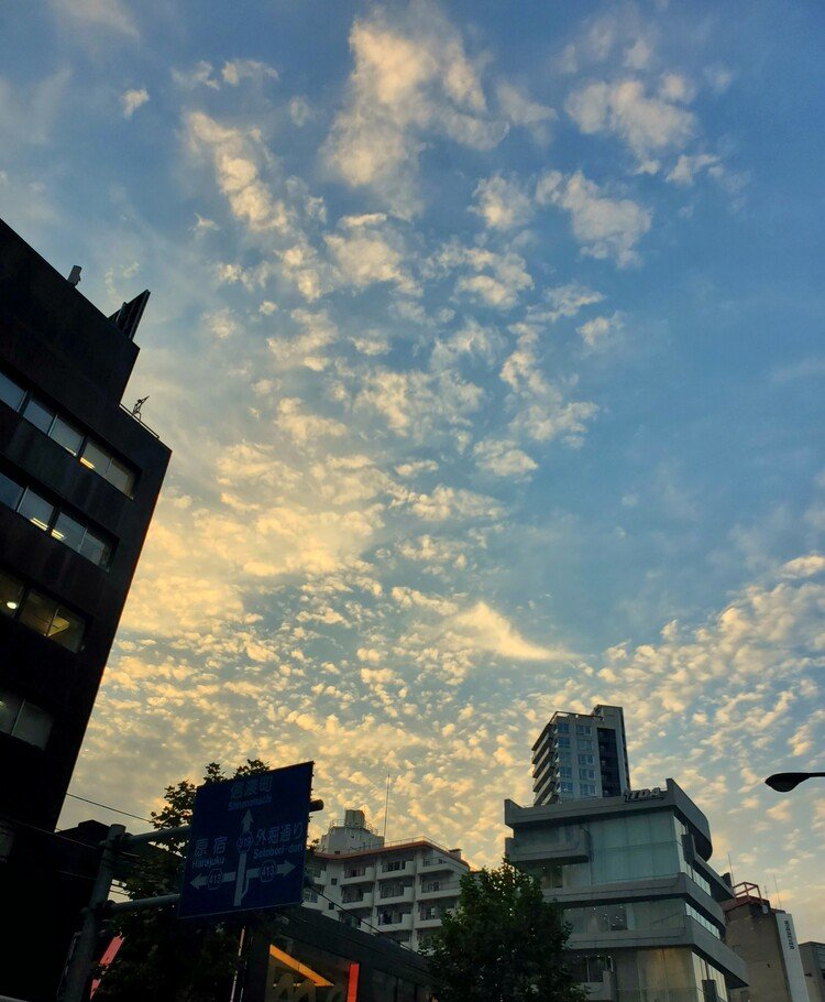 六本木の夕暮れ。
雲母みたいな雲。
あれ？雲母は雲の母って書くんだなぁ。
オレンジ色に染まってちょっと美味しそうに泳いでおりました。

今日も佳い夜を。


#sky #autumn #love #moritaMiW #空 #秋 #佳い一日の終わり