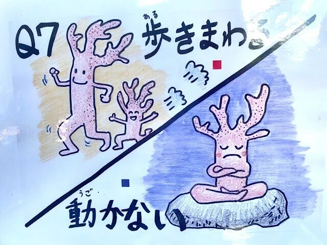 画像6