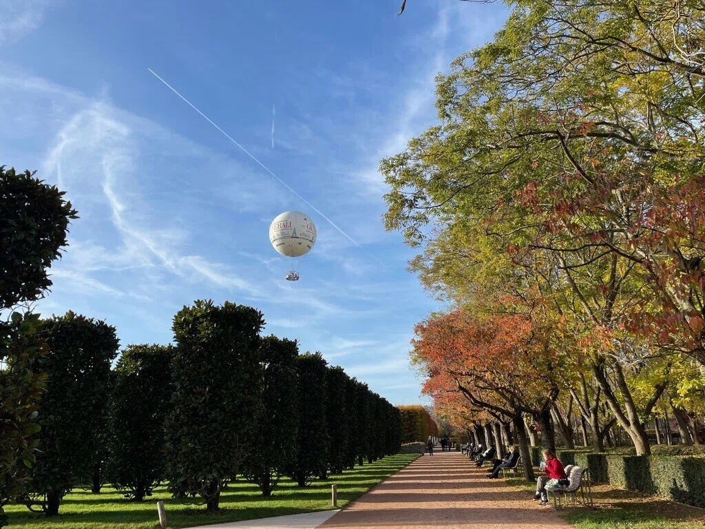 画像22