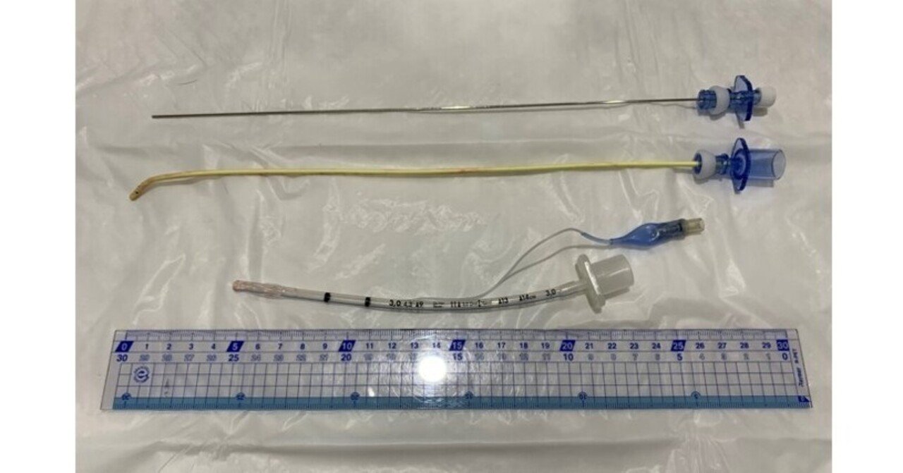 0302 ガムエラスティックブジーで酸素化を維持した症例 獣医麻酔 集中治療学 Note
