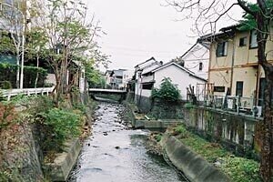写真４：蛭澤川が矢出澤川に合流する所