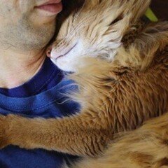 連載 初見良昭「人生、無刀捕 」 第十回「初見先生の死生観」｜コ2