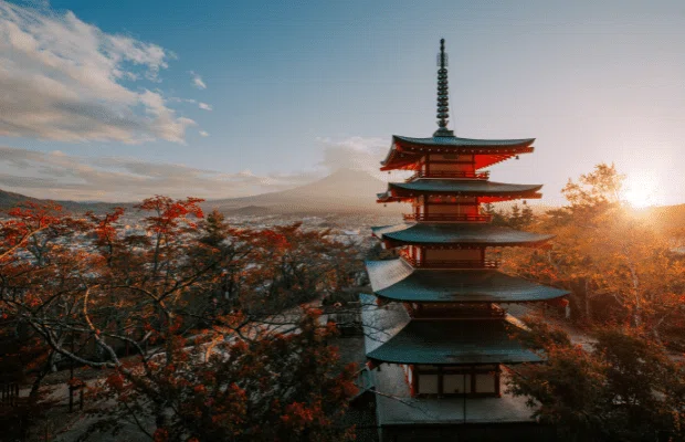 note文中写真 (15)
