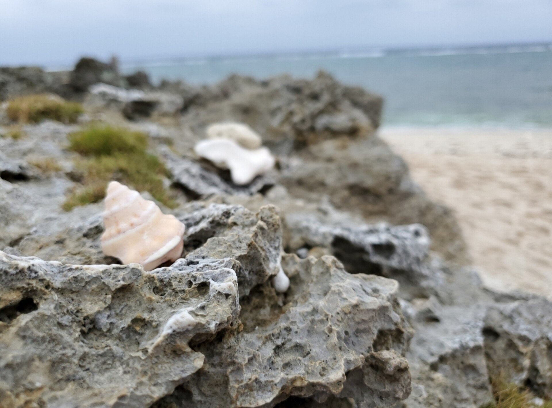 久高島　カベール　絵　サインなし 女が男を守る島」久高島｜旅する飲んべえ·さちこ