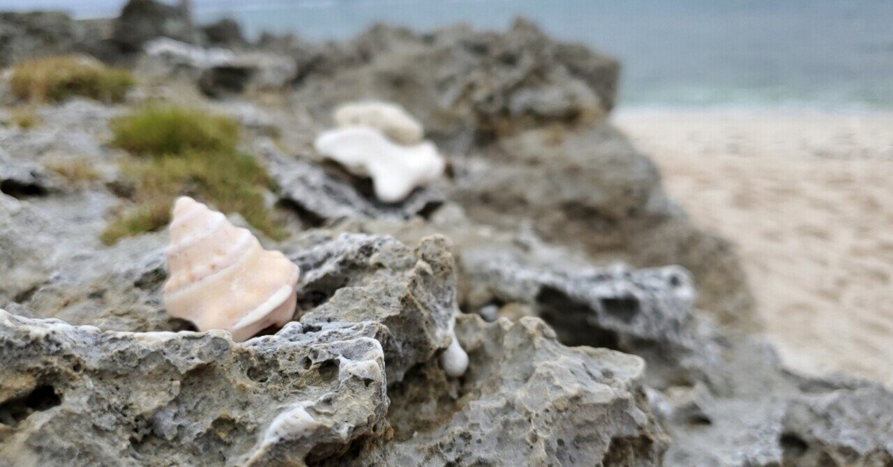 女が男を守る島」久高島｜旅する飲んべえ·さちこ