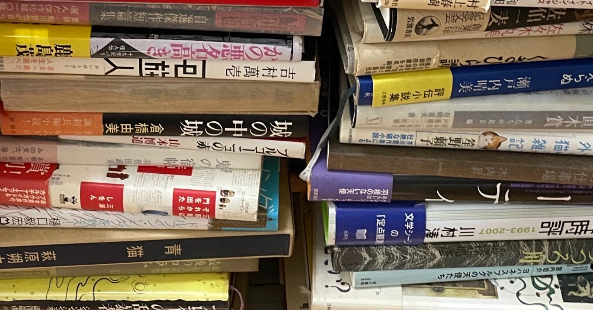 生きるとは 本が増えることだ 緒 真坂 Itoguchi Masaka Note