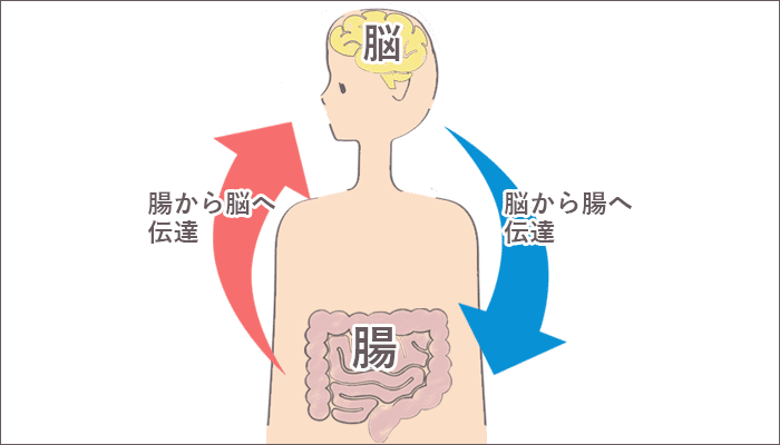 豆知識_中の画像