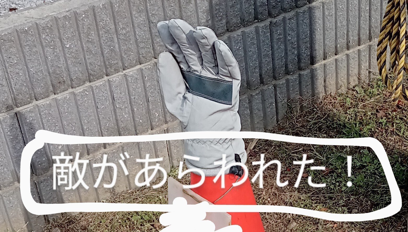 経験値をためる の新着タグ記事一覧 Note つくる つながる とどける