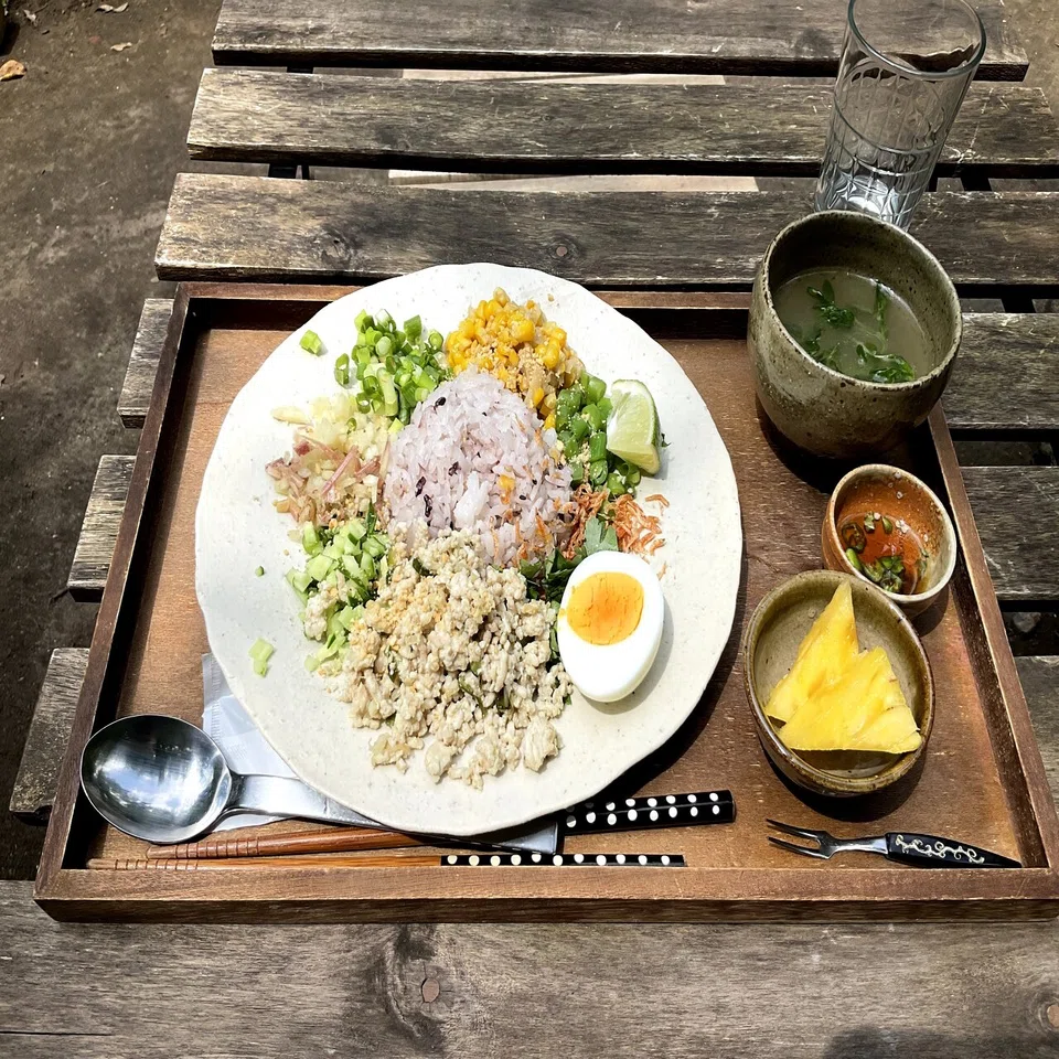 野草とくらし 7 美味しい葉っぱで器作り｜北鎌倉野草部