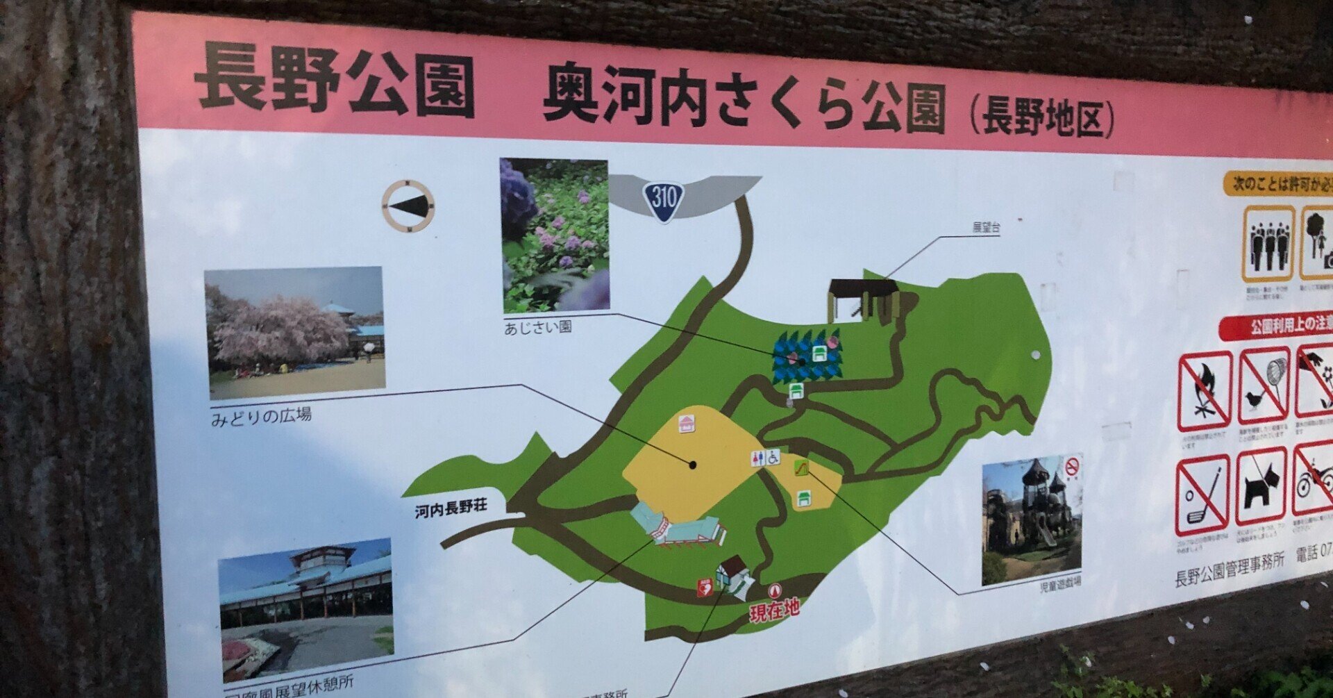 3 長野公園 奥河内さくら公園 Nagano Park Okugawachi Sakura Park 南 奥河内から情報発信 フォロバ100 相互フォロー歓迎 毎日更新 彡 Note