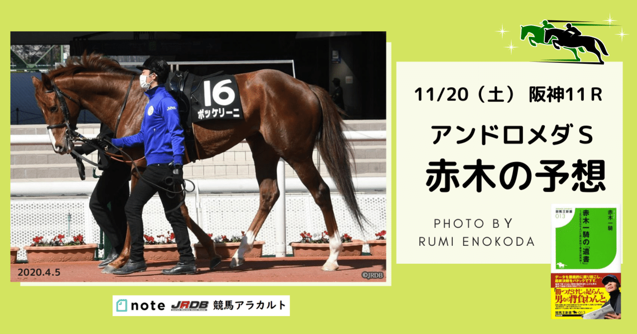 11/20（土）　阪神11Ｒ　アンドロメダＳ　赤木の予想