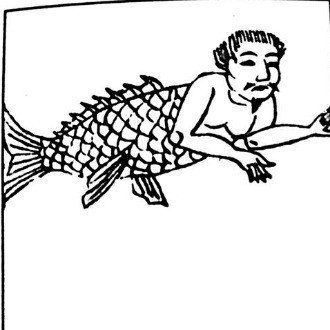 南の島のはまこじき