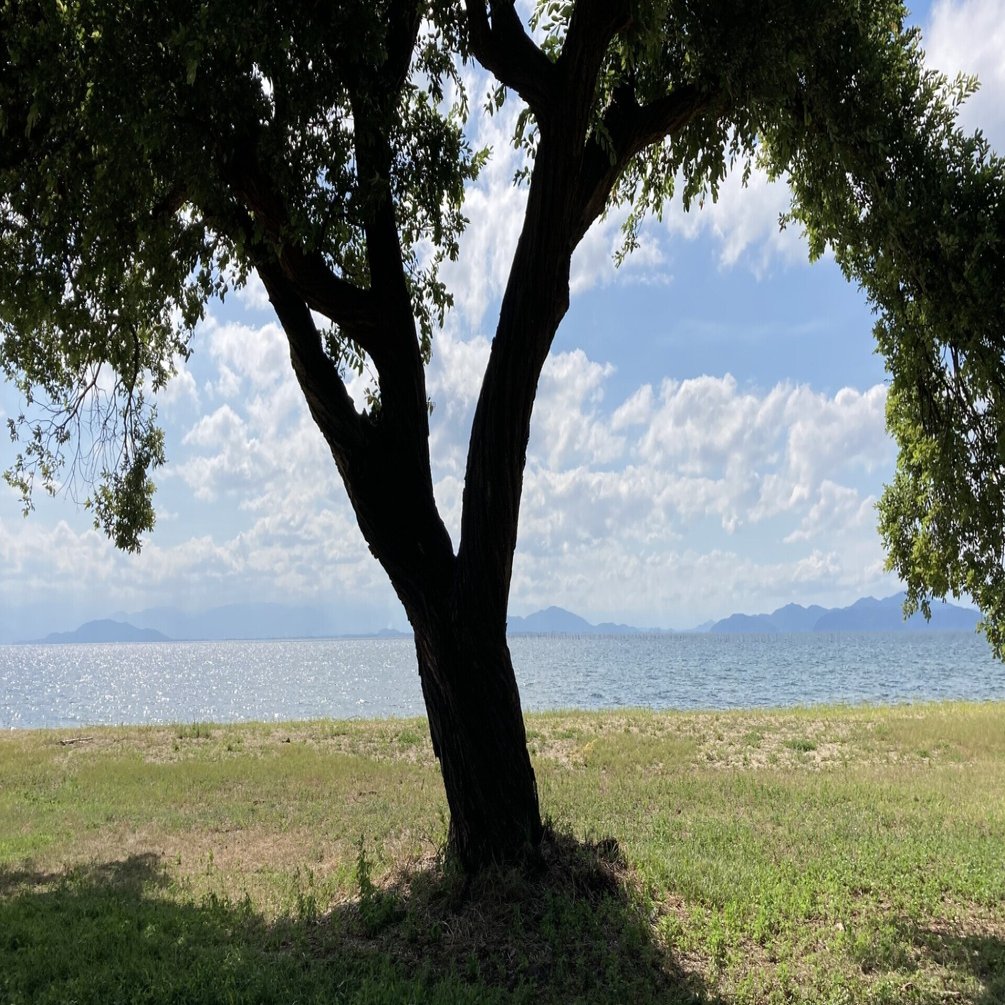 陰ながら応援してます」と言うけど、できれば表で応援したい｜なつみっくす｜著書『I型(内向型)さんのための100のスキル』