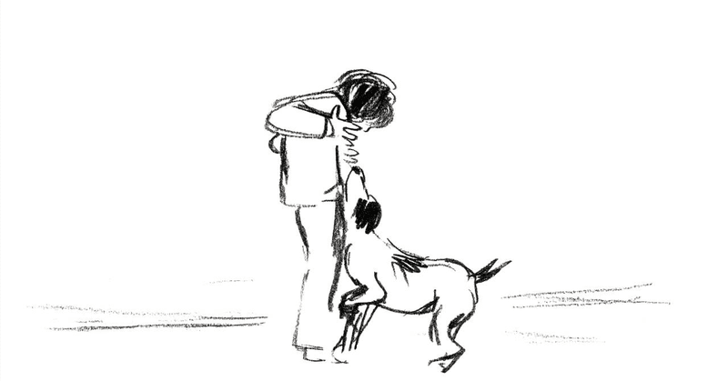 アンジュール―ある犬の物語 