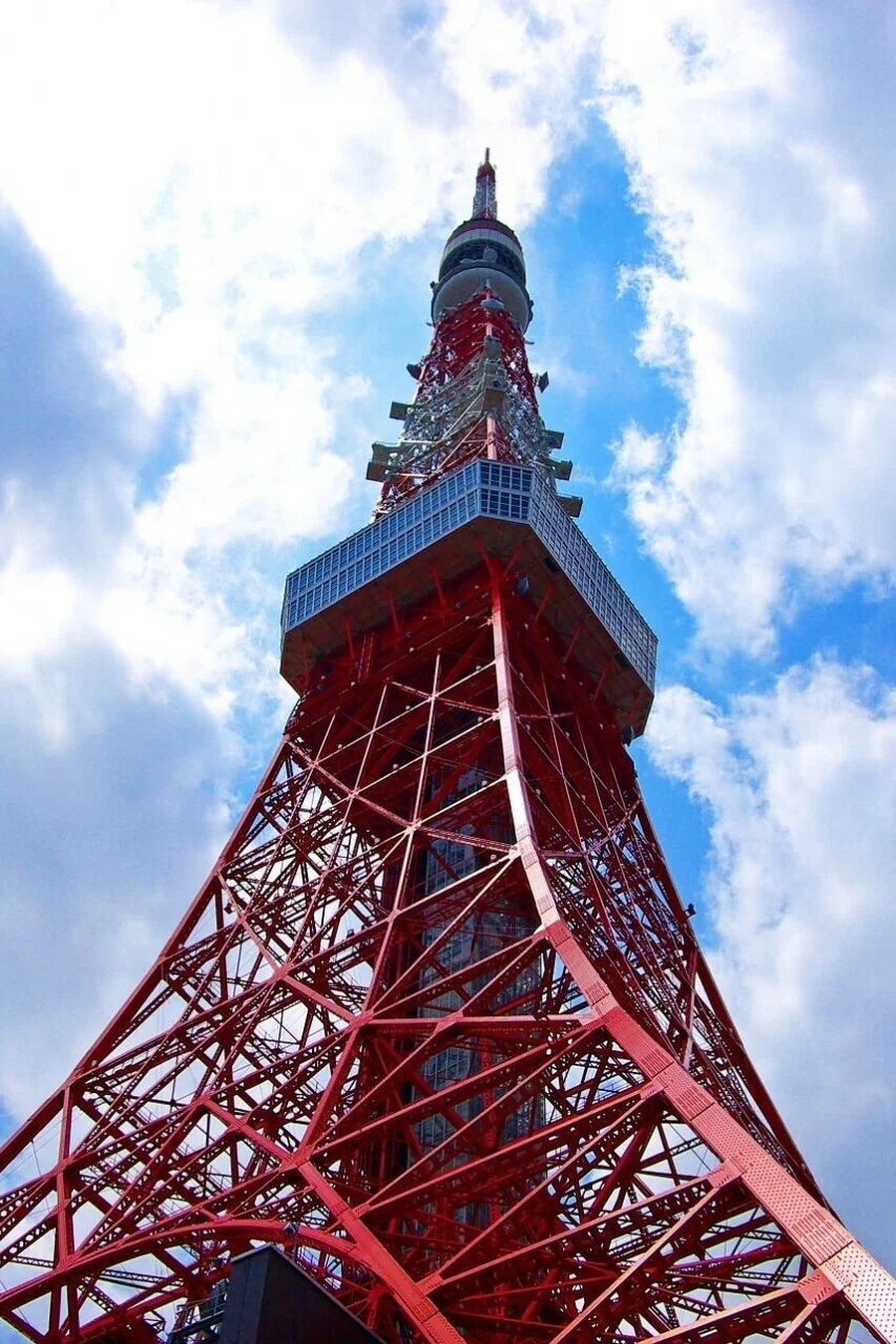 画像9