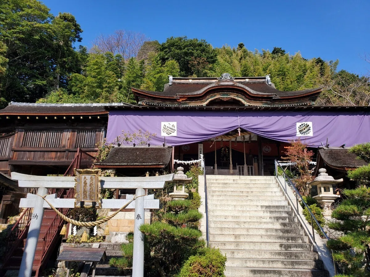 画像5