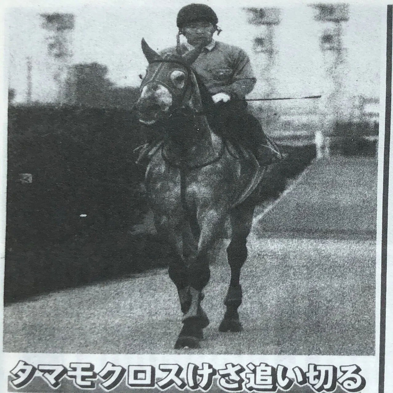 ウマ娘」では浪速の白い稲妻！タマモクロスの連勝と芦毛三番勝負を「東 