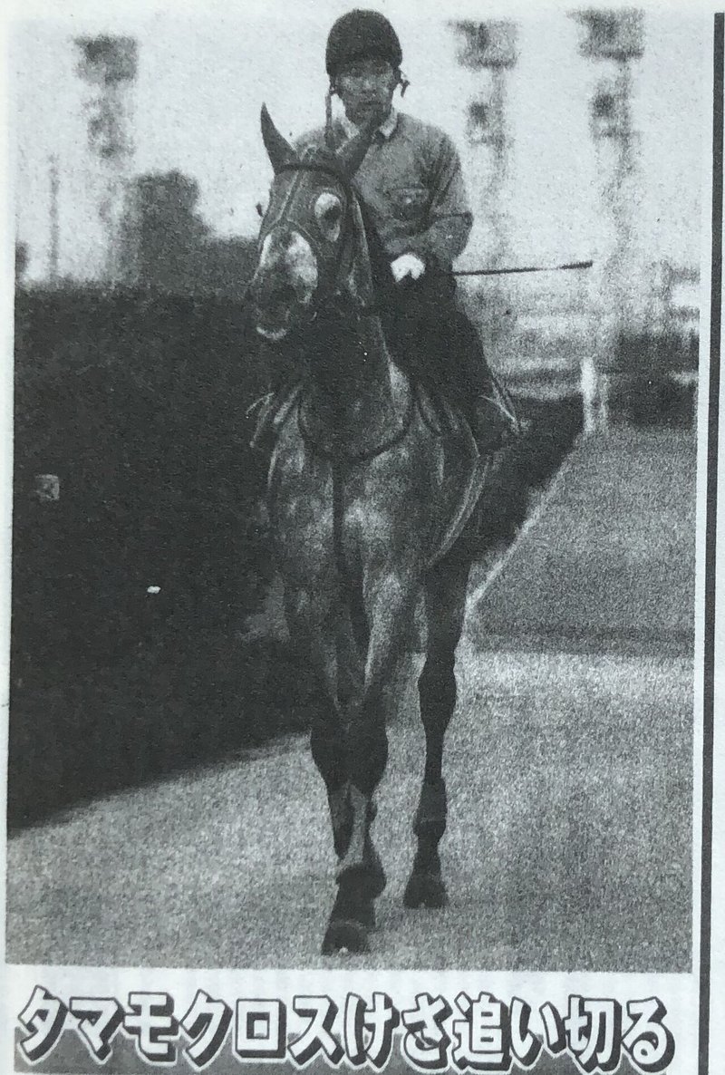 ８８年有馬記念・タマモ追い切り