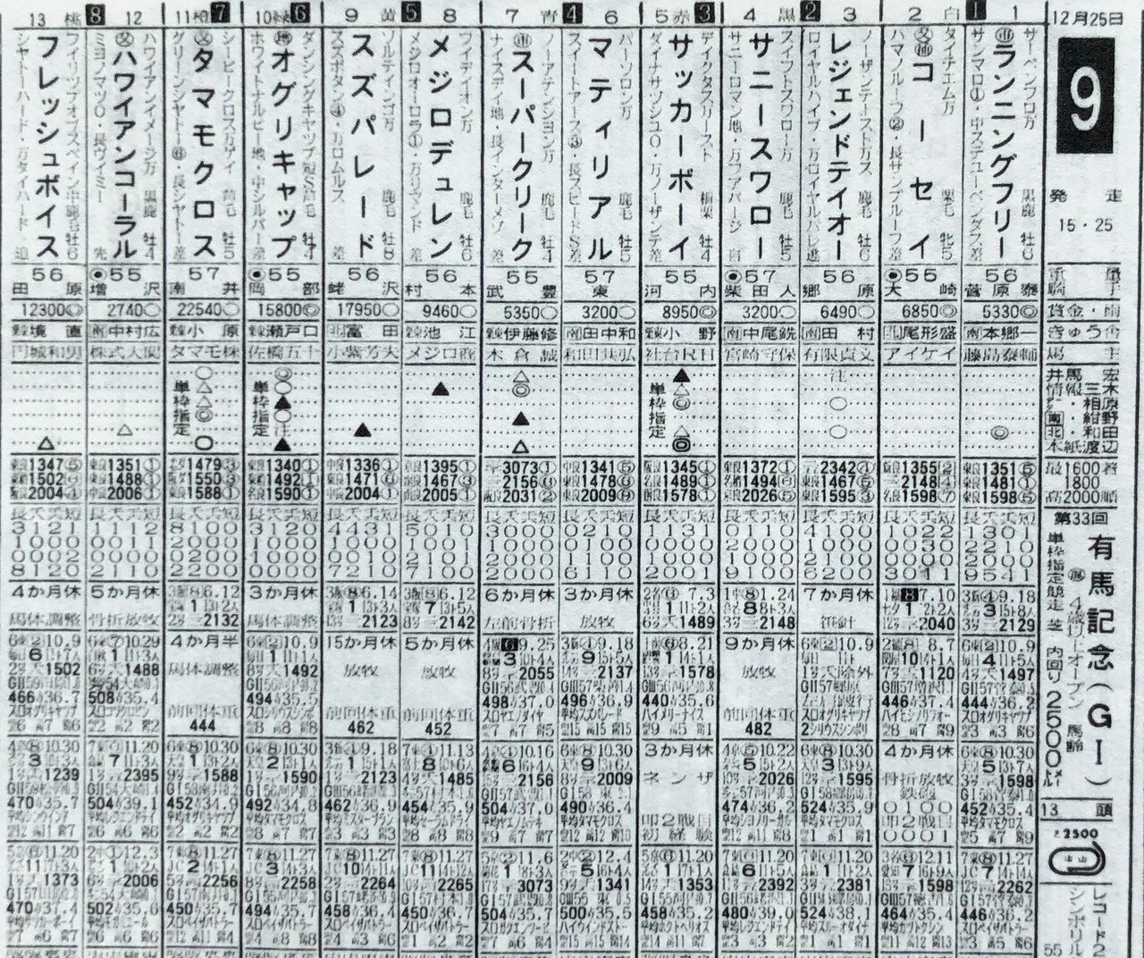 稲妻２世芦毛タマモクロス写真パネル（１９８８年１２月２５日中山有馬記念）引退記念 ウマ娘」では浪速の白い稲妻！タマモクロスの連勝と芦毛三番勝負