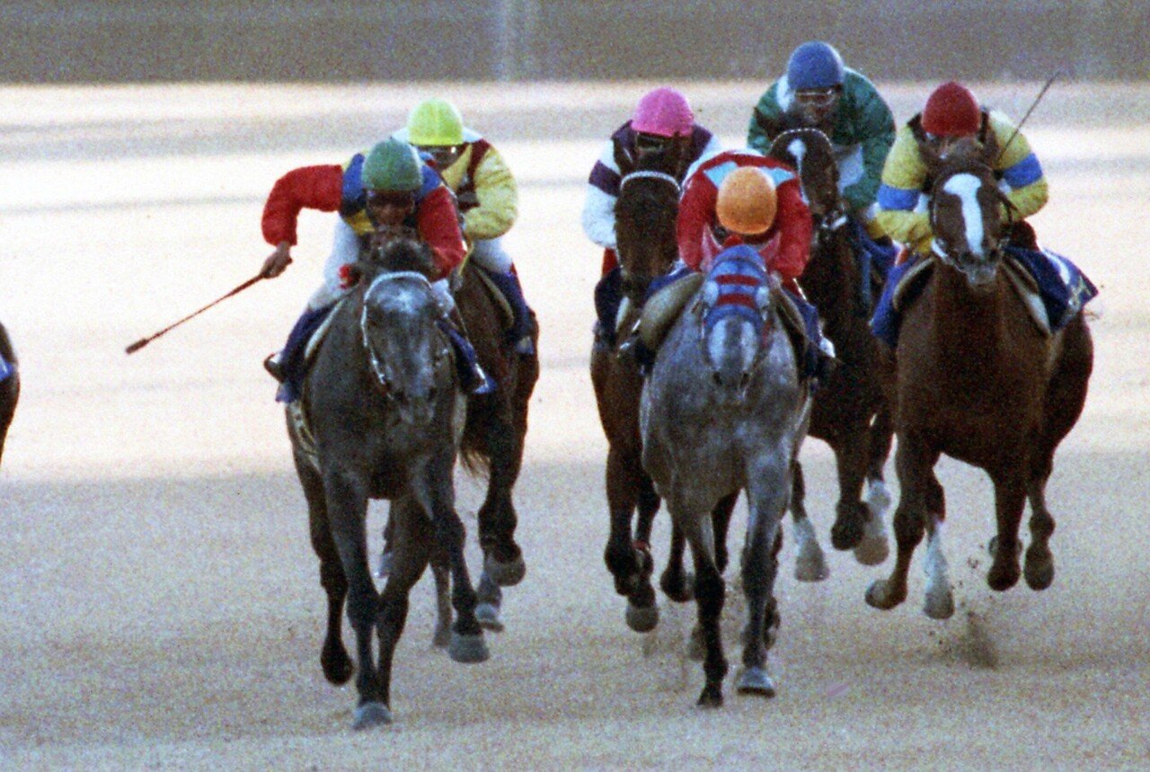 ウマ娘」では浪速の白い稲妻！タマモクロスの連勝と芦毛三番勝負を「東