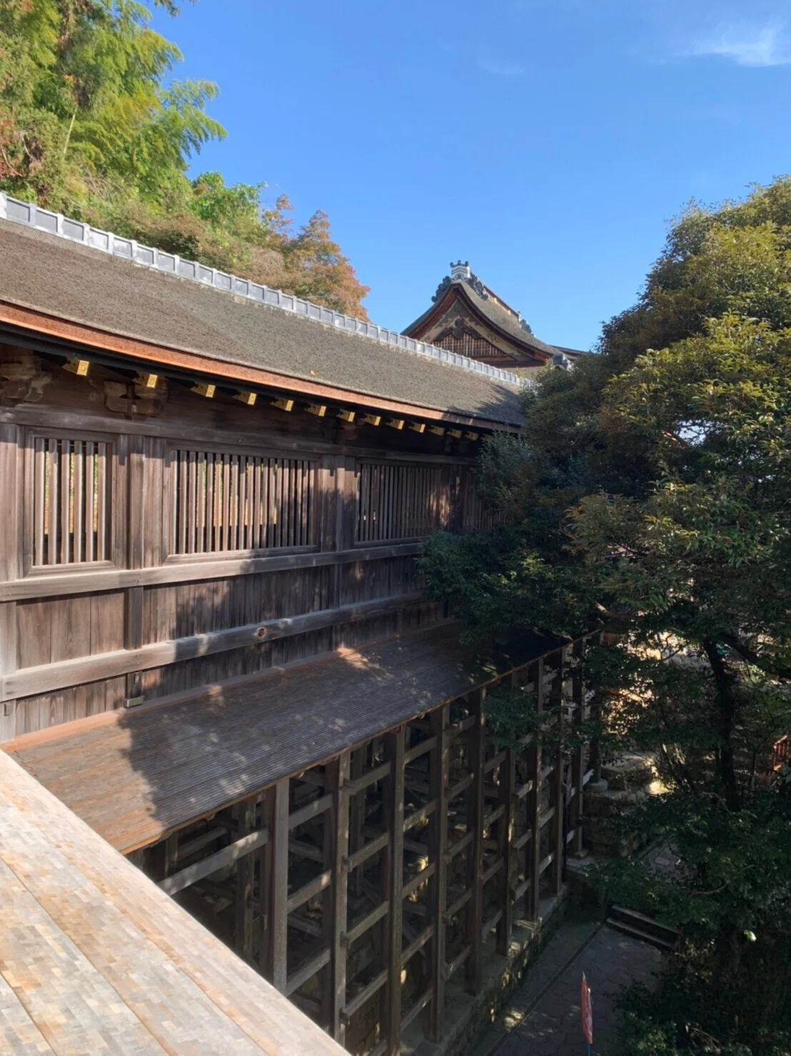 画像8