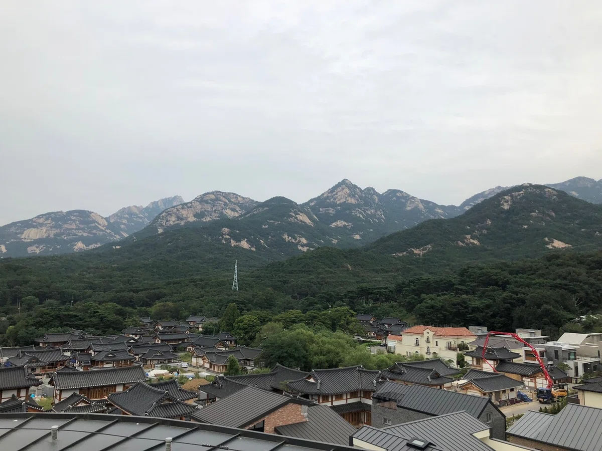 画像13