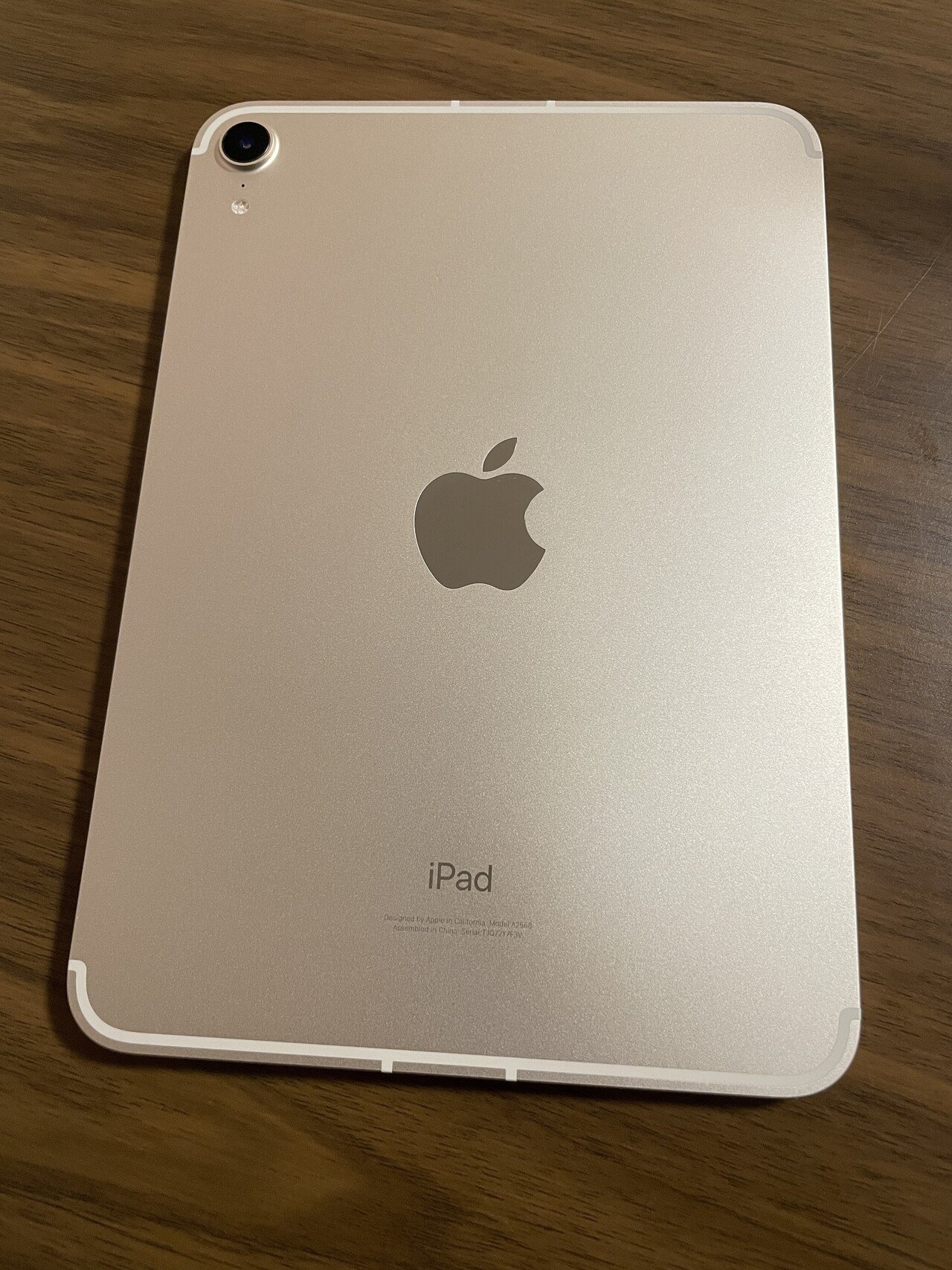 iPad mini6を購入！使用感とゼリースクロールについて｜彩羅木蒼