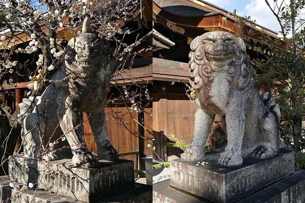 北野天満宮の狛犬⑦｜komajin