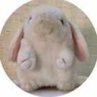 ダリル・ストロベリーという男｜女一匹野球道