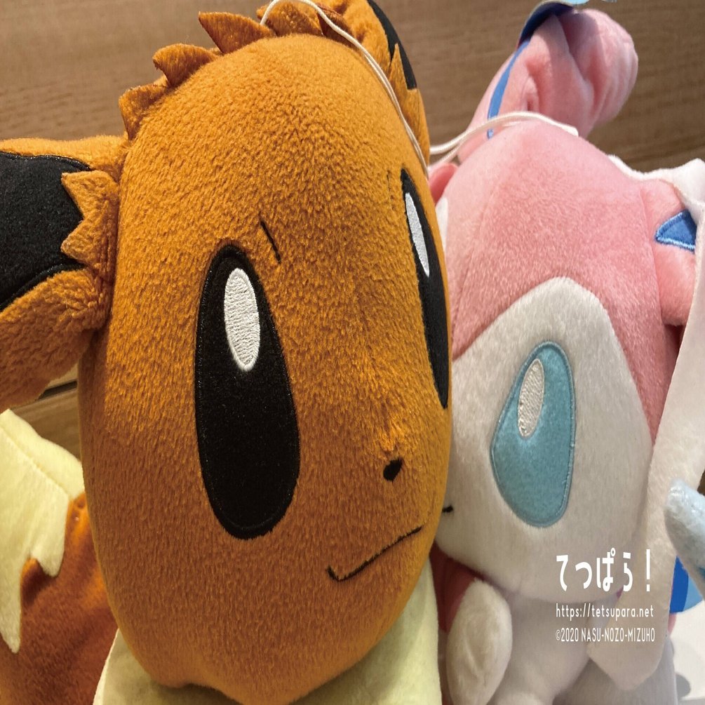 580円のイーブイのぬいぐるみ一匹。それひとつで僕の人生が変わった