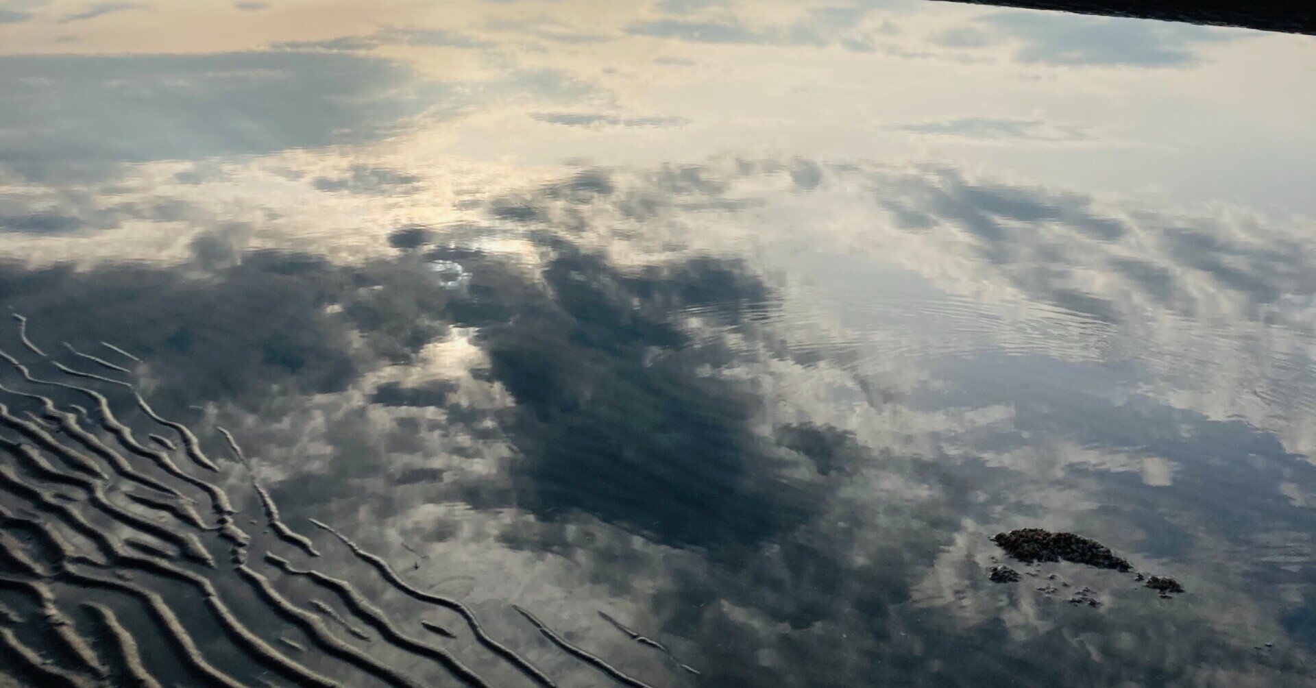 ありのままってむずかしい ホ オポノポノ実践家族のミニコラム Uiwater Note ありのままってむずかしい ホ オポノポノ実践家族のミニコラム Uiwater Note