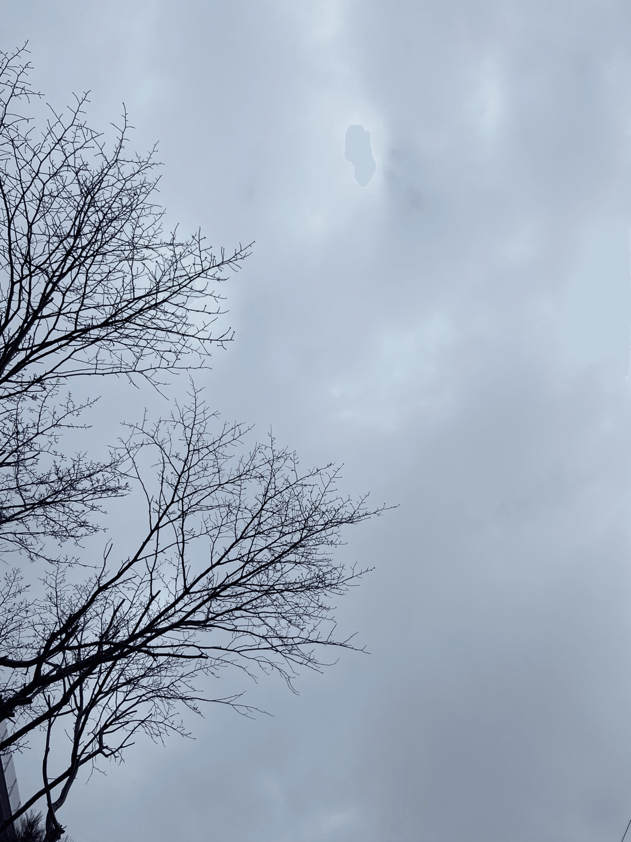 冬の匂いがする空 ワクワクしながらコツコツすすもう ちえのコッコぶろぐ Note