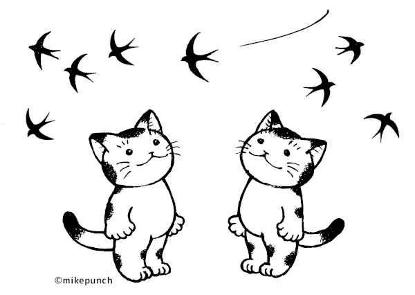 画像15