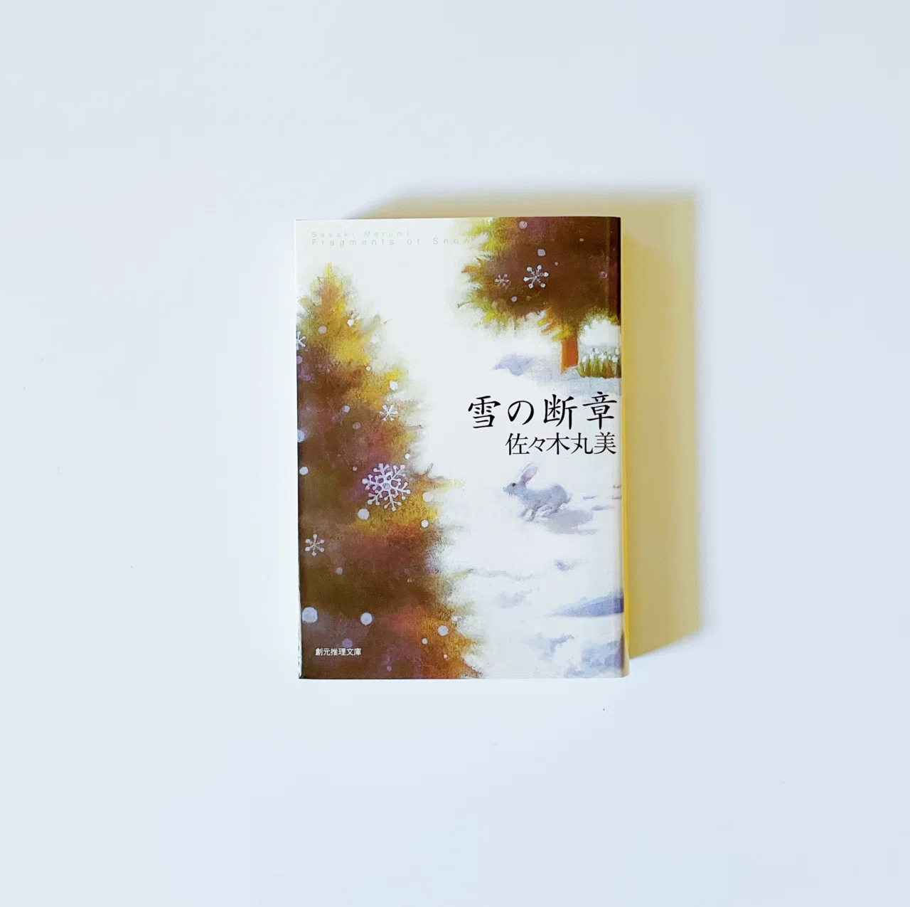 今日も、読書。 ｜読書日記の難しさ、雪の断章｜むささび｜インテリア
