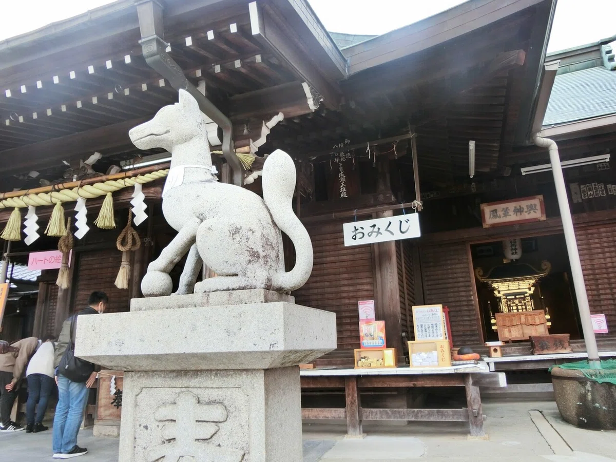 画像12