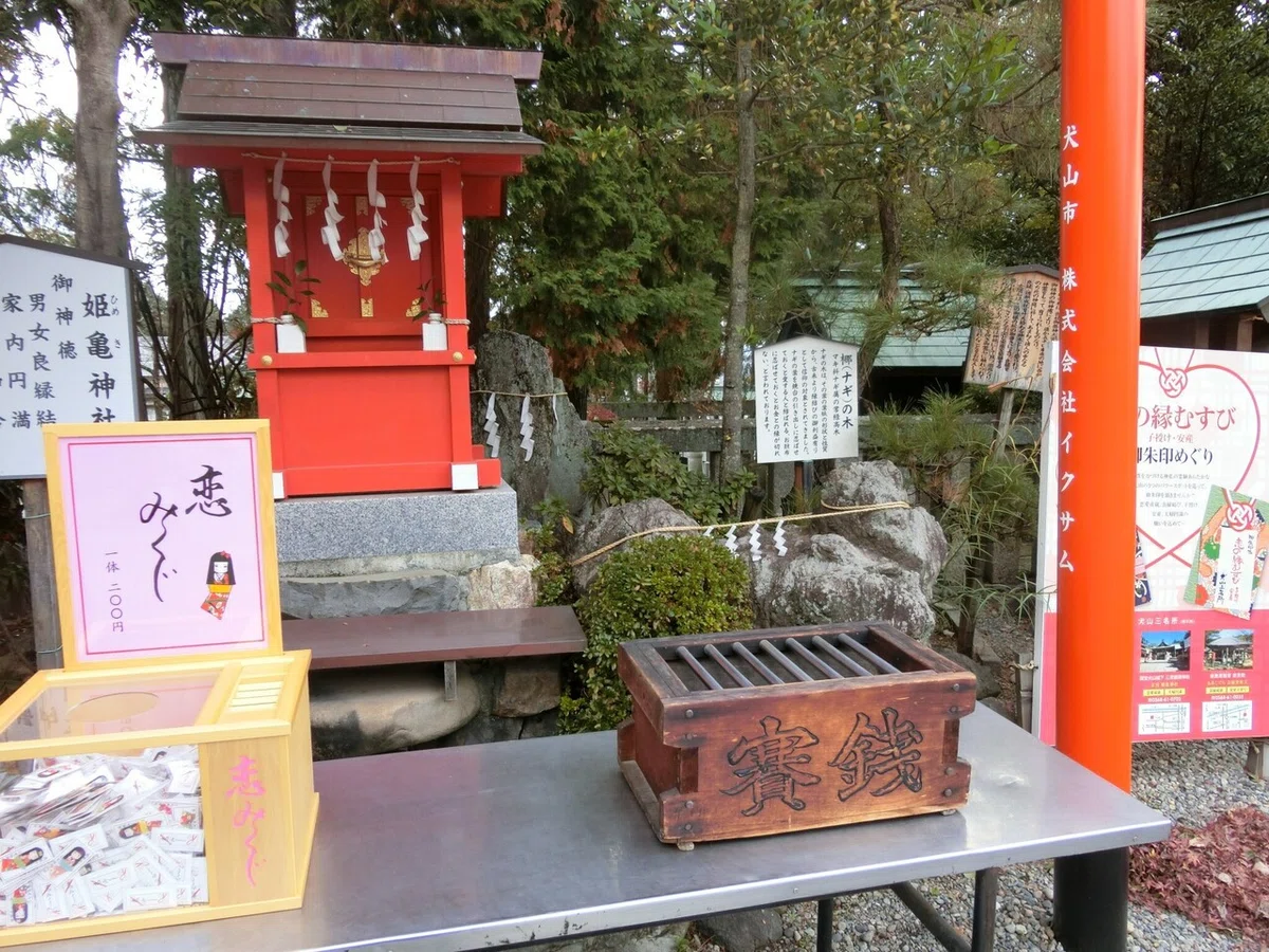 画像15