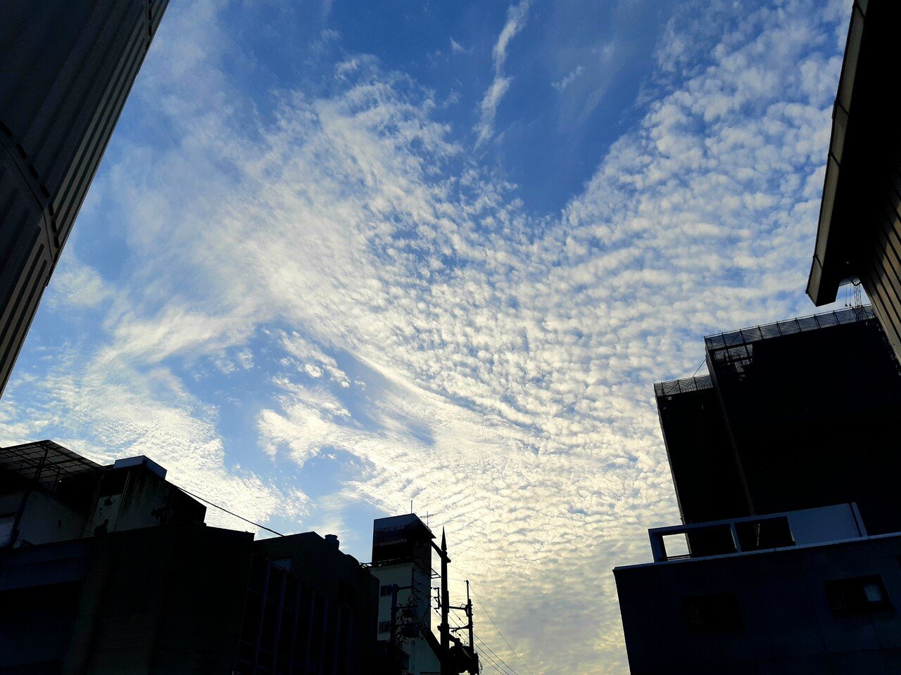 冬の雲からvサイン 山田幸子フリーアナウンサー Note 冬の雲からvサイン 山田幸子フリーアナウンサー Note