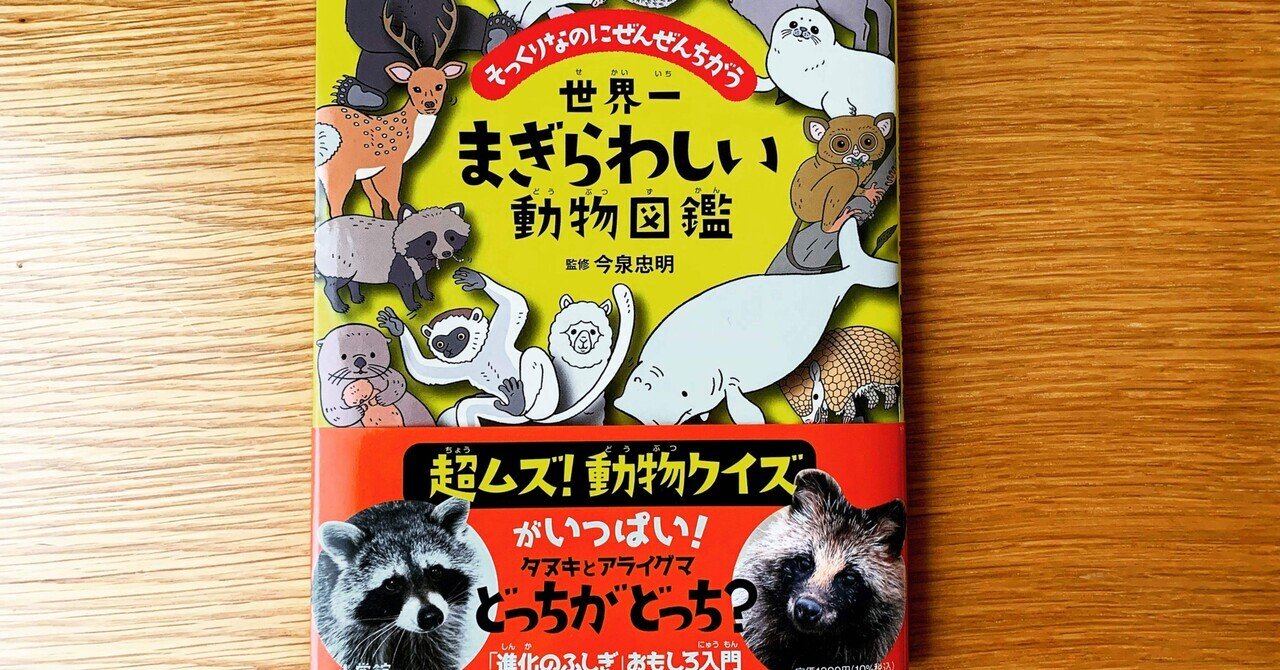 モモンガとムササビの違いわかる そっくりなのに全然違う 世界一まぎらわしい動物図鑑 Trail Story Magazine Ritsuko Ichinose Note