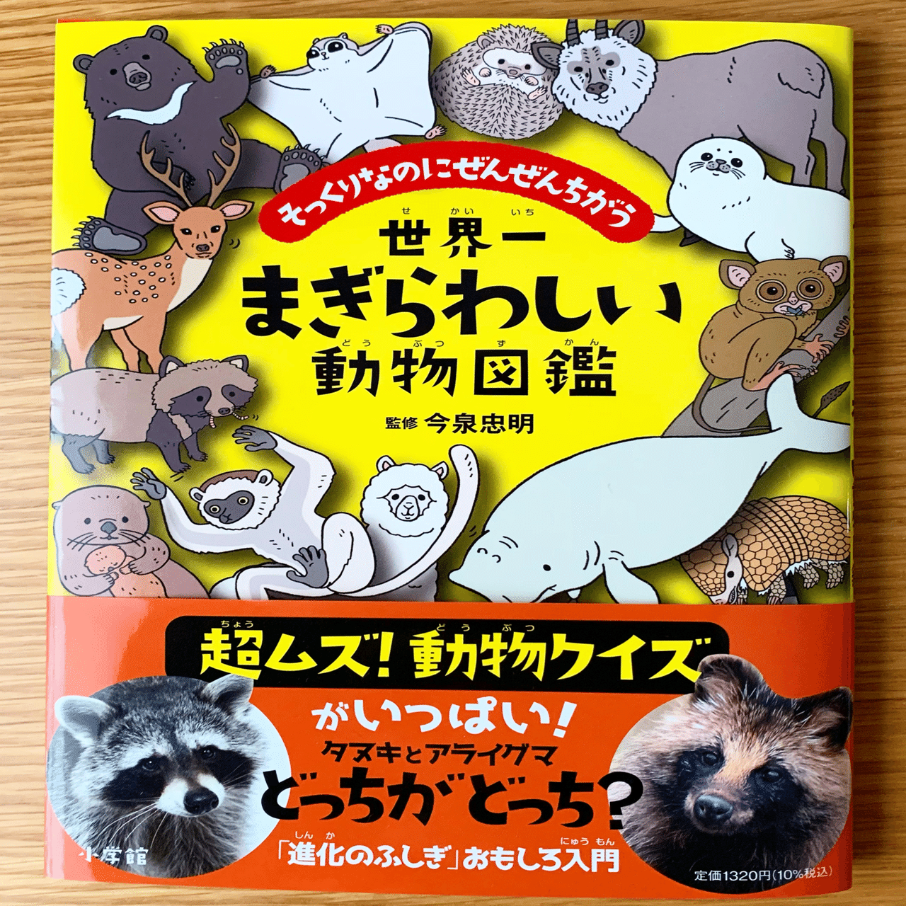モモンガとムササビの違いわかる そっくりなのに全然違う 世界一まぎらわしい動物図鑑 Trail Story Magazine Ritsuko Ichinose Note