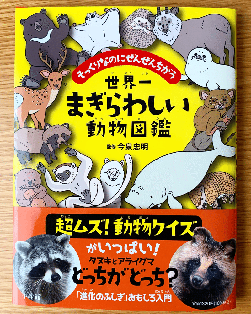 モモンガとムササビの違いわかる そっくりなのに全然違う 世界一まぎらわしい動物図鑑 Trail Story Magazine Ritsuko Ichinose Note モモンガとムササビの違いわかる そっくりなのに全然違う 世界一まぎらわしい動物図鑑 Trail Story Magazine Ritsuko Ichinose Note
