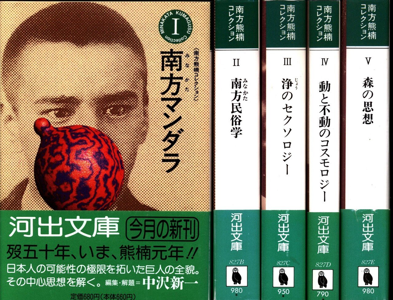 コレクション鶴見和子曼荼羅5 水の巻 南方熊楠のコスモロジー