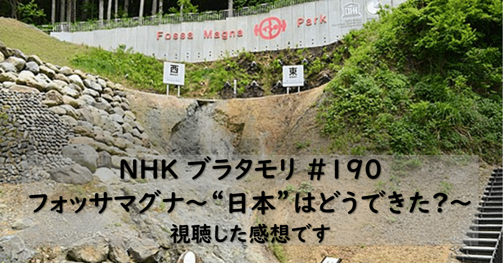 ブラタモリ フォッサマグナ 日本 はどうできた を視聴しました Hayahi Taro Note