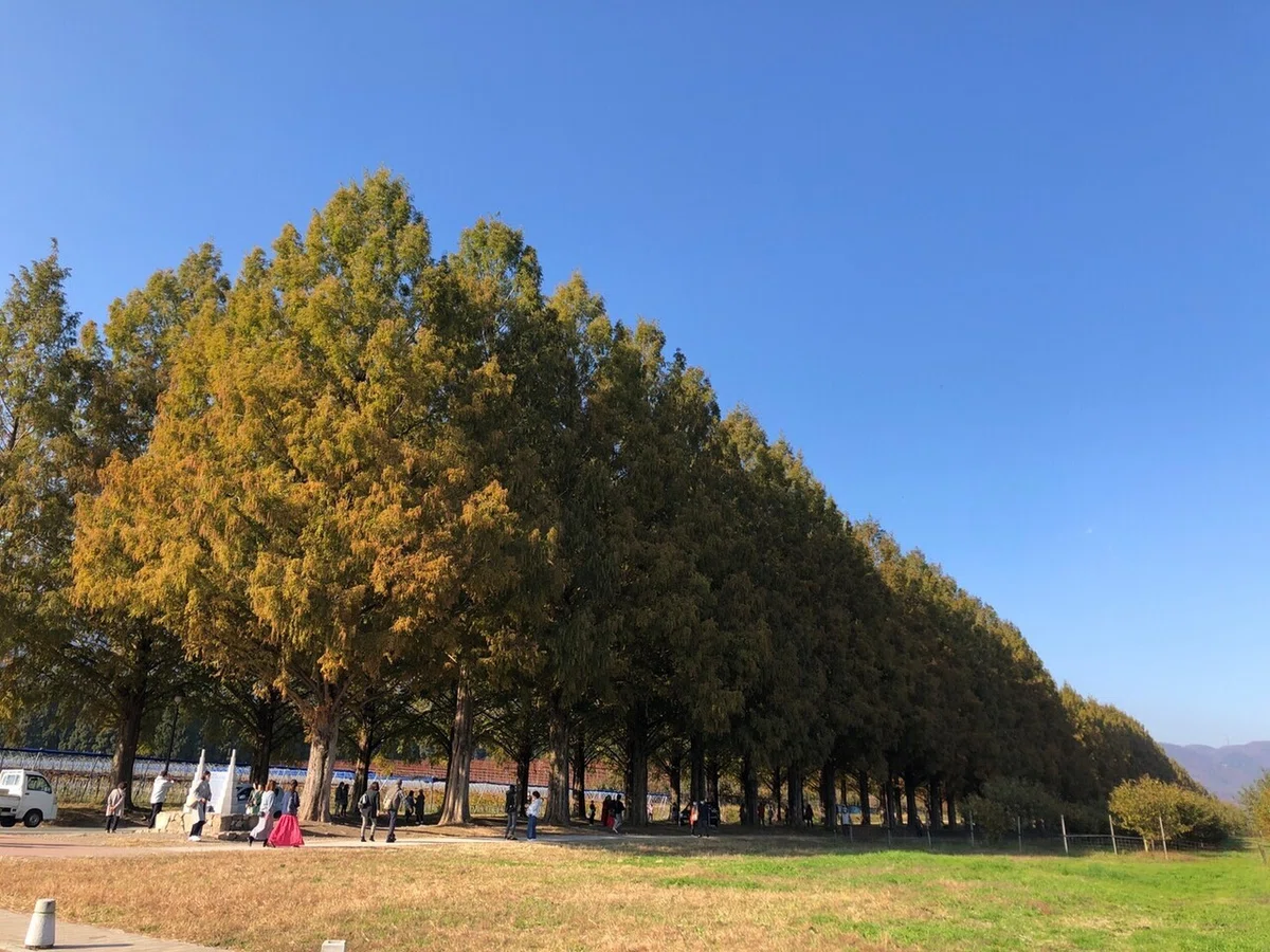 LINE_ALBUM_2021.11.19湖西紀行_211120_120