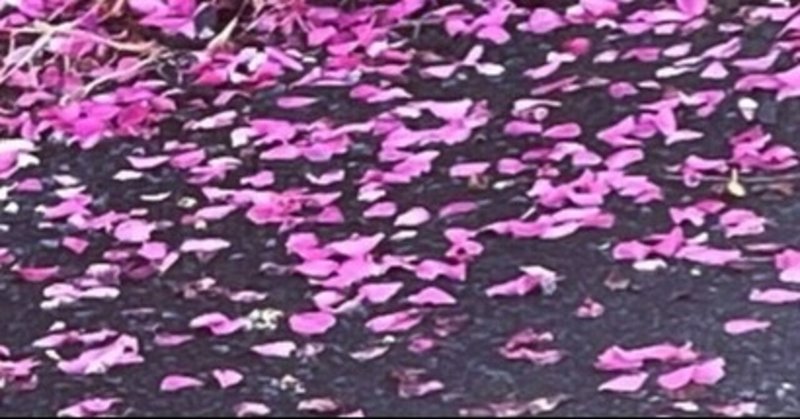 花散る の新着タグ記事一覧 Note つくる つながる とどける